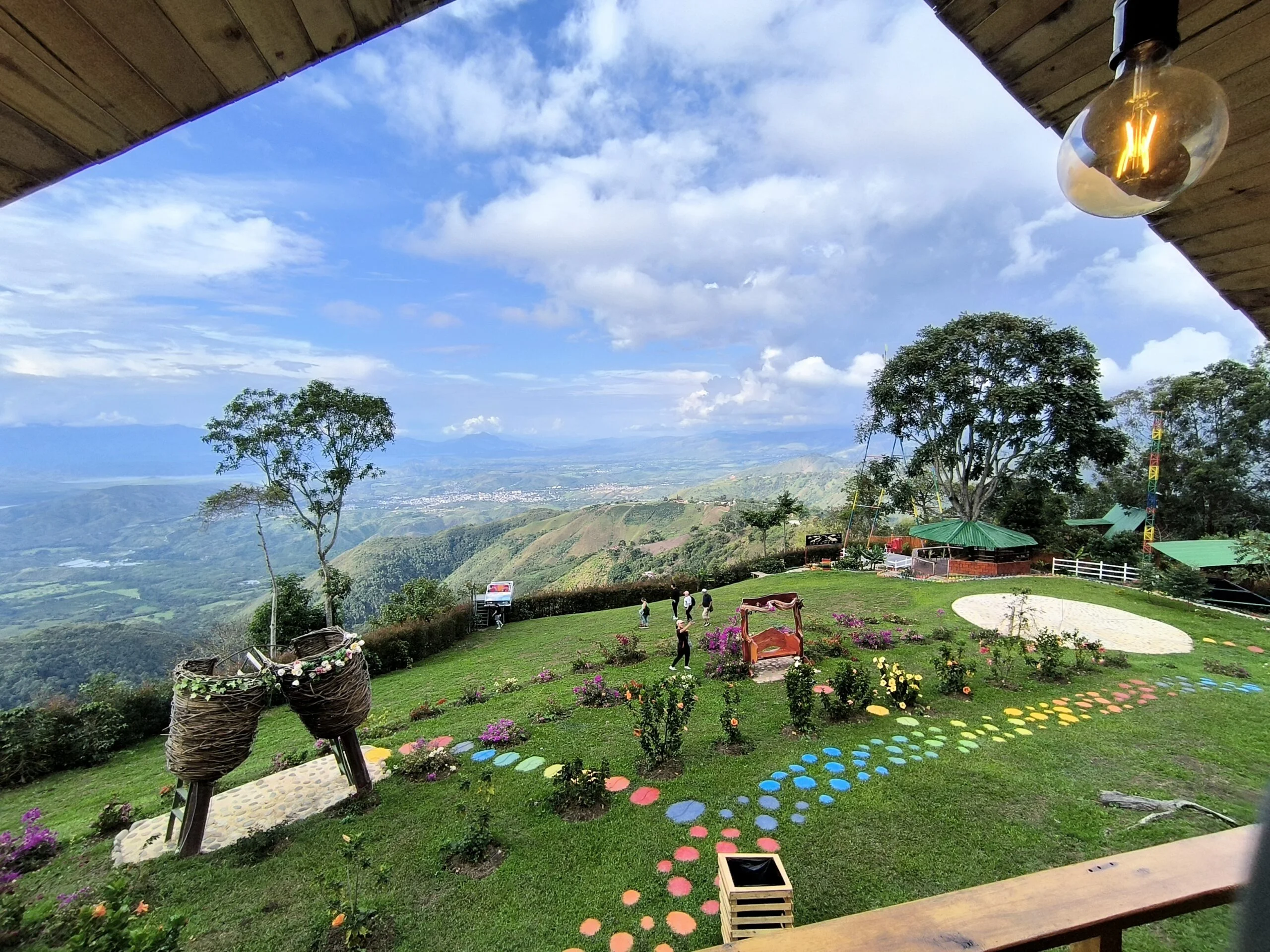Vista al bosque