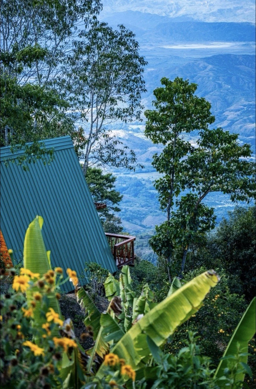 Vista al bosque